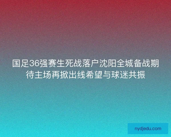 国足36强赛生死战落户沈阳全城备战期待主场再掀出线希望与球迷共振