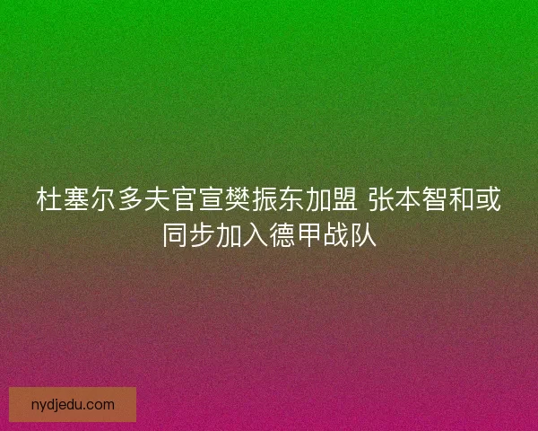 杜塞尔多夫官宣樊振东加盟 张本智和或同步加入德甲战队