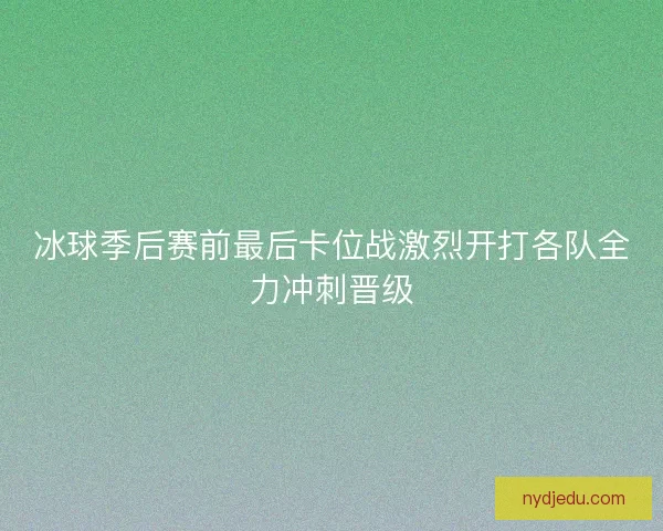 冰球季后赛前最后卡位战激烈开打各队全力冲刺晋级